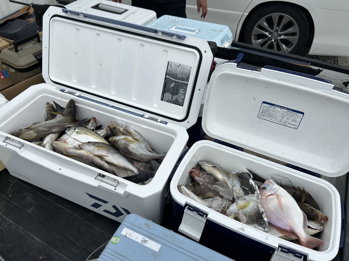 釣り