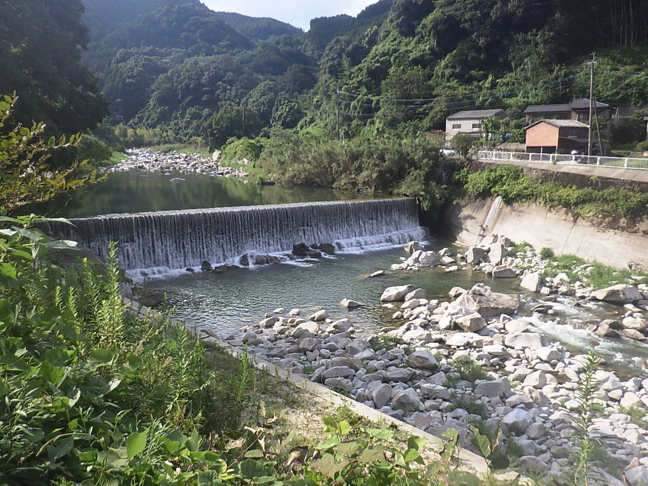 全景
