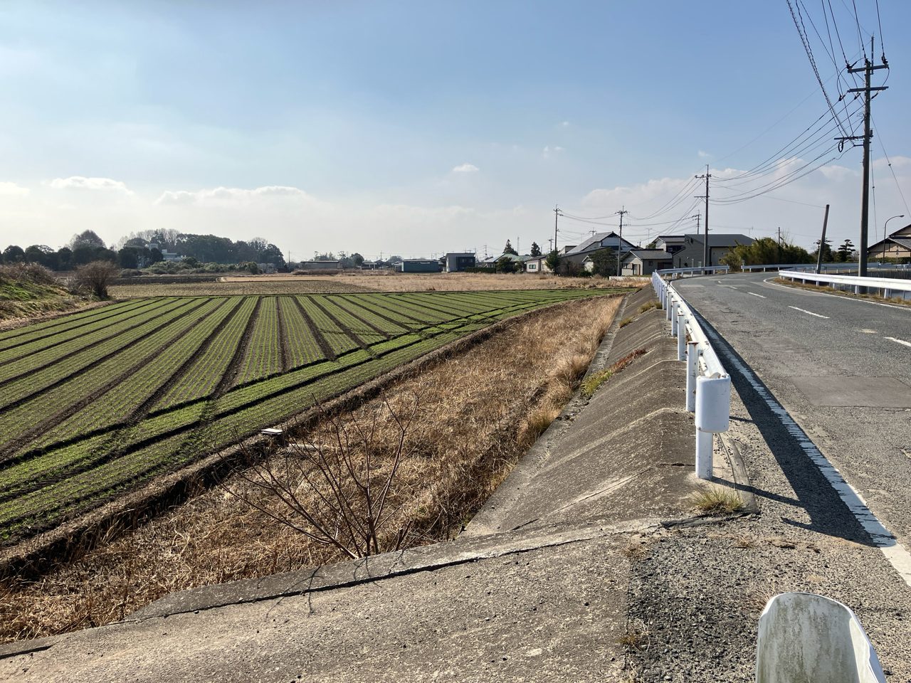 川上牛津